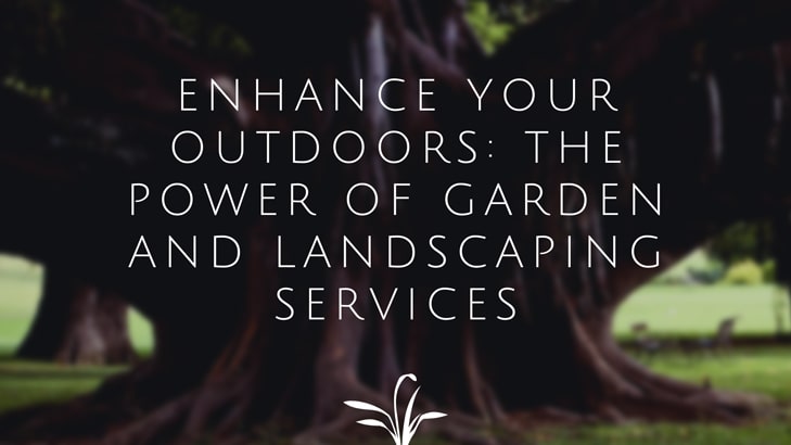 Enhance Your Outdoors The Power of Garden and Landscaping Services